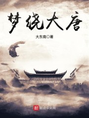 梦绕大唐章节列表