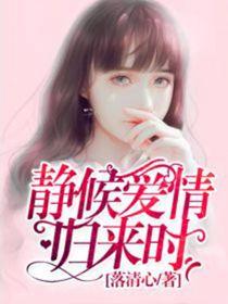 静候爱情归来时章节列表