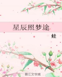 星辰照梦途章节列表