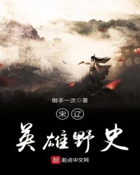 宋辽英雄野史章节列表