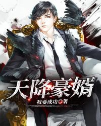 天降豪婿章节列表