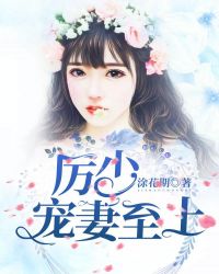 厉少宠妻至上章节列表