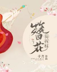簪花莫折枝章节列表