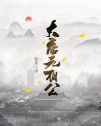 大唐元相公章节列表
