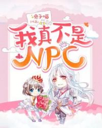 我真不是NPC章节列表