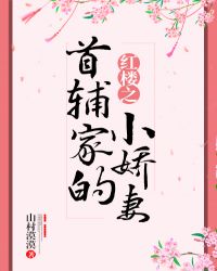 红楼之首辅家的小娇妻章节列表