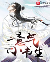意气小书生章节列表