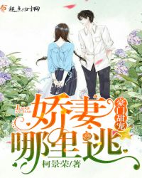 豪门甜宠：娇妻哪里逃章节列表