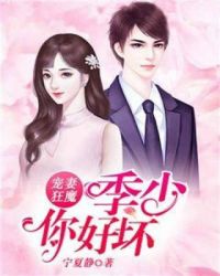 宠妻狂魔：季少你好坏章节列表