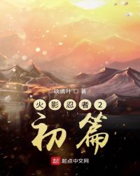 火影忍者2初篇章节列表