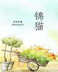 锦猫章节列表