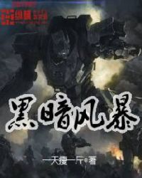 黑暗风暴章节列表