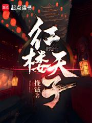 红楼天子章节列表