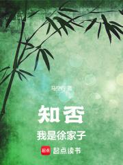 知否：我是徐家子章节列表