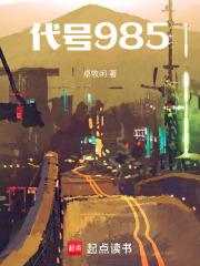 代号985章节列表