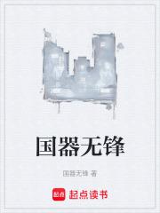 国器无锋章节列表