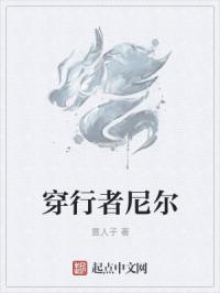 穿行者尼尔章节列表