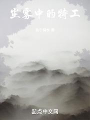 尘雾中的特工章节列表