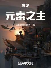 盘龙：元素之主章节列表
