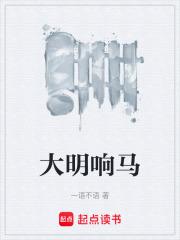 大明响马章节列表