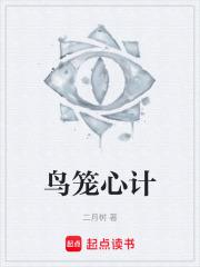 鸟笼心计章节列表