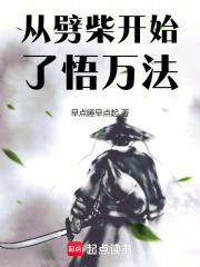 从劈柴开始了悟万法章节列表