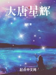 大唐星辉章节列表