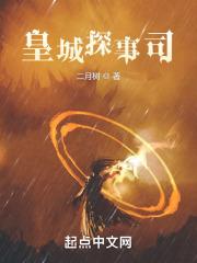 皇城探事司章节列表