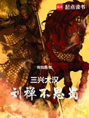 三兴大汉：刘禅不思蜀章节列表