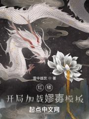 红楼：开局加载嫪毐模板章节列表