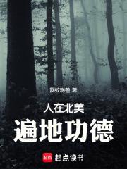 人在北美，遍地功德章节列表