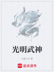 光明武神章节列表