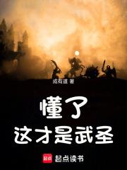 懂了，这才是武圣章节列表