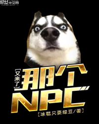那个NPC又来了章节列表