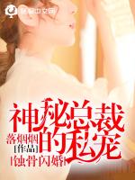 蚀骨闪婚：神秘总裁的私宠章节列表