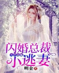 天价追捕：闪婚总裁小逃妻章节列表