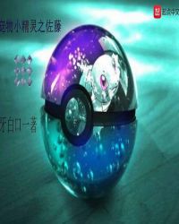 宠物小精灵之佐藤章节列表