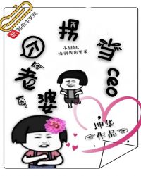拐个老婆当ceo章节列表