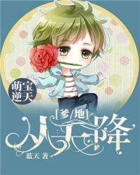 萌宝逆天：爹地从天降章节列表