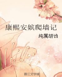 康熙安嫔爬墙记章节列表