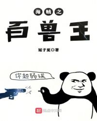 海贼之百兽王章节列表