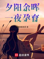 夕阳余晖，一夜孕育章节列表