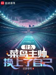 什么，菜鸟主帅换上了自己章节列表