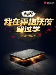 两界：我在霍格沃茨留过学章节列表