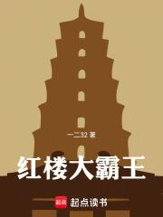 红楼大霸王章节列表