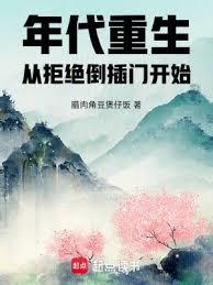 年代：从拒绝倒插门到工业巨擘章节列表