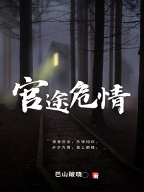 官途危情章节列表