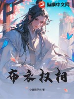 布衣权相章节列表