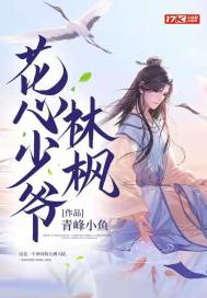 花心少爷林枫章节列表