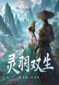 灵羽双生章节列表